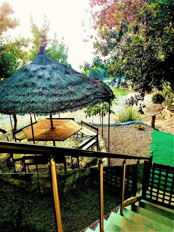 Ramo'S Green Beachside Retreat - Cozy 2 Bedroom Home Wlora Zewnętrze zdjęcie